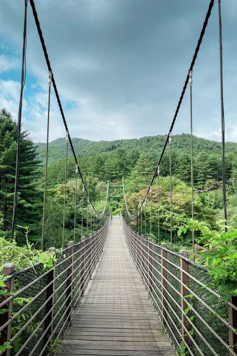 A picturesque suspension bridge surrounded by lush green forest, leading toward a backdrop of rolling mountains under a partly cloudy sky. Ideal for nature lovers exploring the Garden of Morning Calm, one of the highlights of a week in Seoul