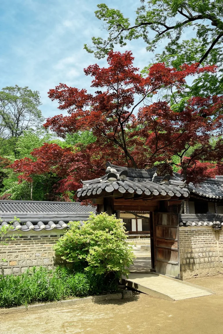 Traditional Korean courtyard gate framed by lush greenery and vibrant red maple trees under a bright blue sky, captured at a serene, lesser-known site in Seoul. A peaceful moment from an off-the-beaten-path 3 days in Seoul itinerary