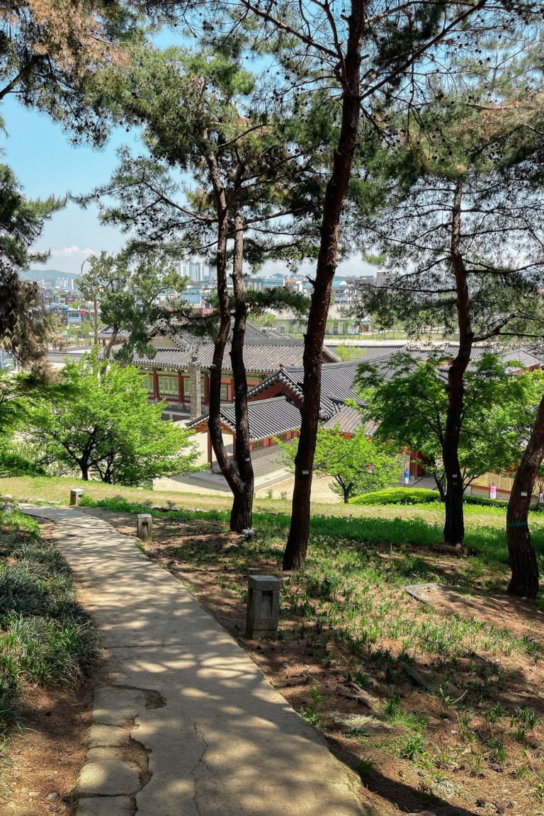A shaded walking path lined with tall pine trees leads downhill toward a cluster of traditional Korean palace buildings with tiled roofs in Suwon. Modern city buildings are visible in the distance under a clear blue sky, capturing the blend of history and urban life on a Suwon day trip.