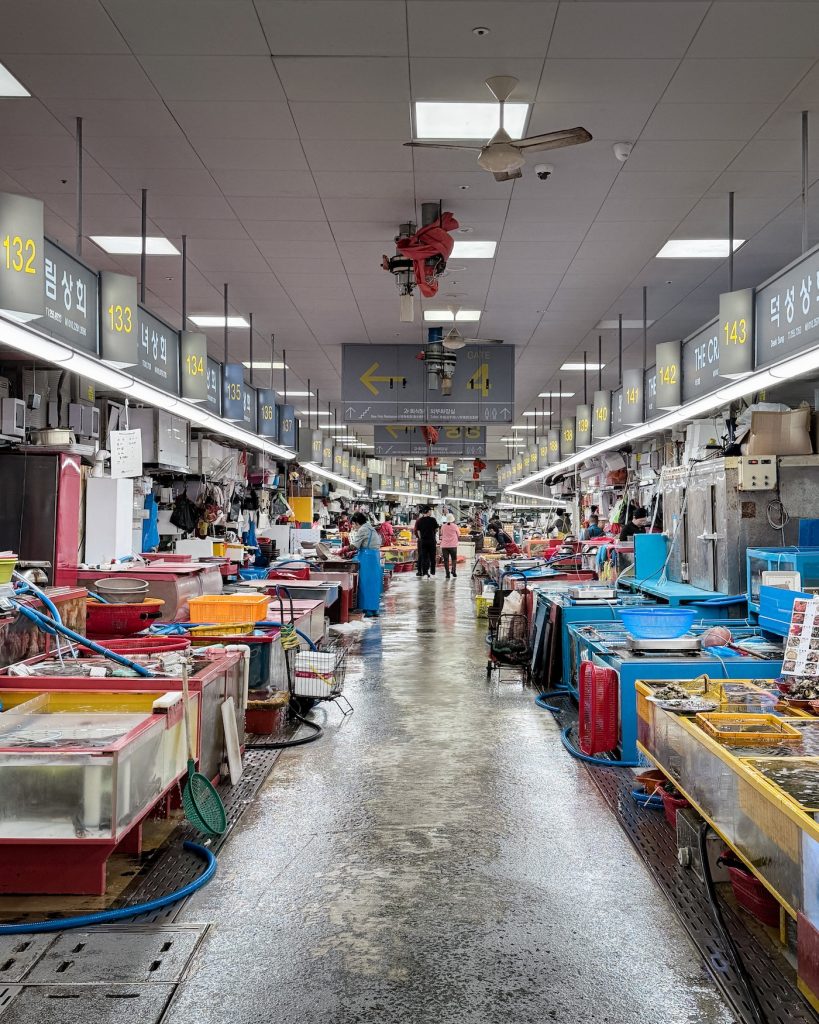 Interior aisle of Jagalchi Market features rows of seafood tanks, vendor stalls, and wide walkways beneath numbered overhead signs. The market showcases Busan's seafood culture even for visitors who aren't planning to eat there.