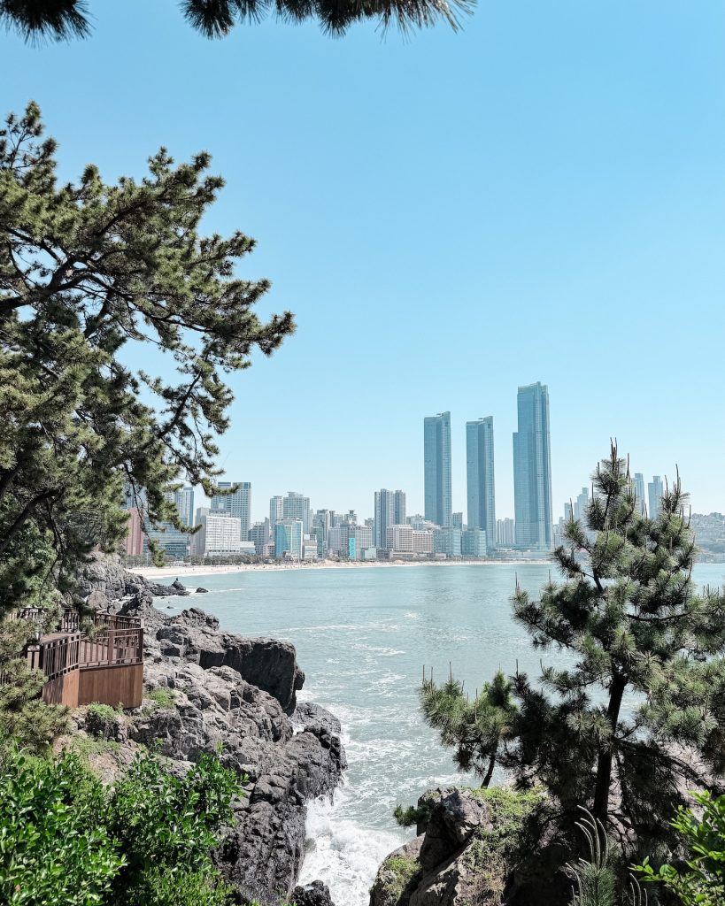 View from Dongbaekseom looks across rocky shoreline toward Haeundae Beach, where modern skyscrapers rise behind the coastline. Pine trees frame the skyline from one of Busan's most scenic walking trails.