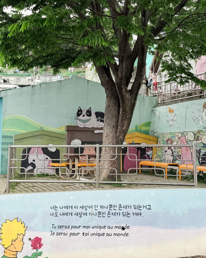 Shaded seating area in Gamcheon Culture Village, an included stop on a day tour of Busan, decorated with colorful cat murals and a large tree at its center. Text on the wall includes Korean and French quotes from The Little Prince.