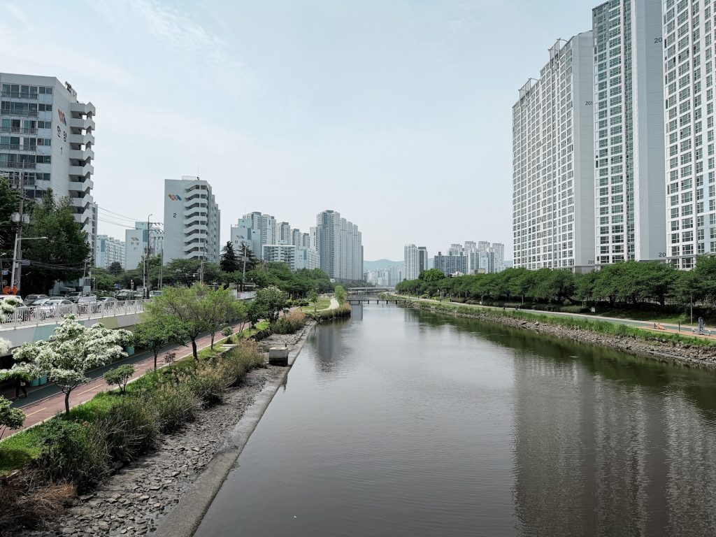 Oncheon-cheon canal flows between tree-lined walking paths and residential apartment towers in Busan. The neighborhood is a favorite local hangout for walking, cycling, and relaxing at independent cafรฉs.