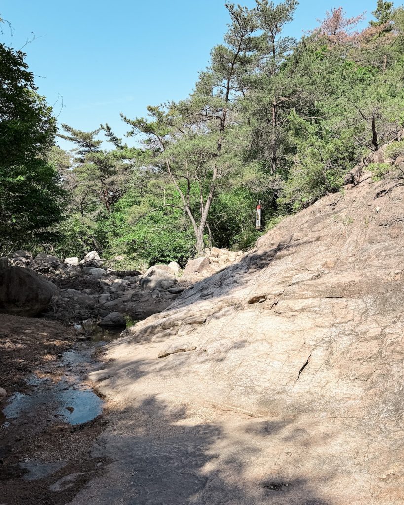 Smooth granite rock face and shallow stream crossing along the Mount Namsan hiking trail surrounded by forest.