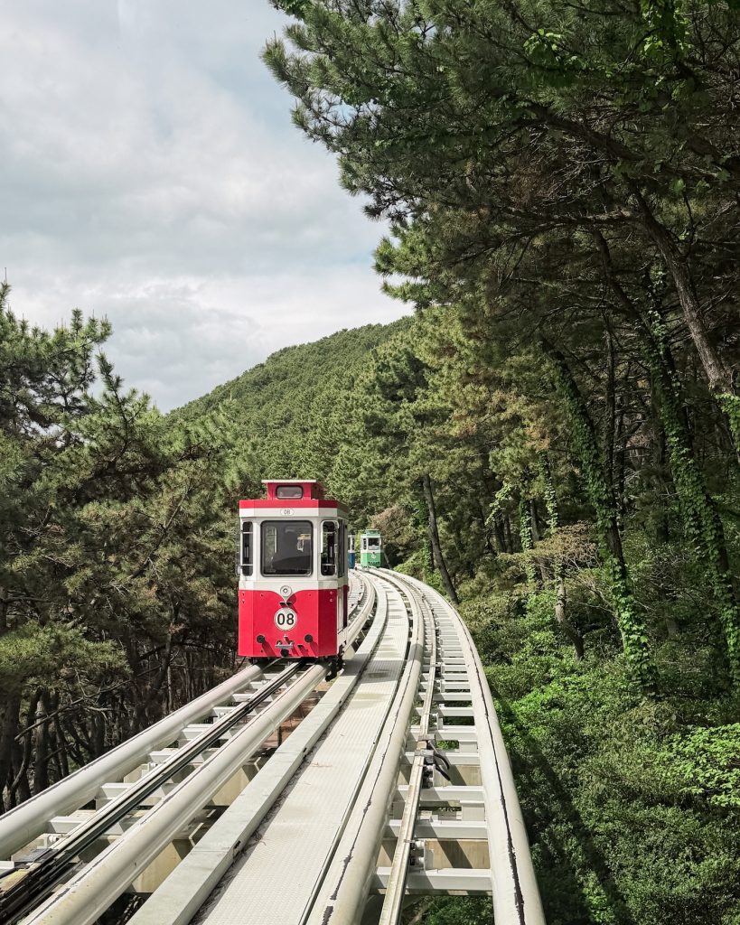 Red Sky Capsule rail car traveling through a dense pine forest along an elevated coastal track. Riding Sky Capsules is one of the most popular attraction in Busan, included in a recommended highlights day tour.