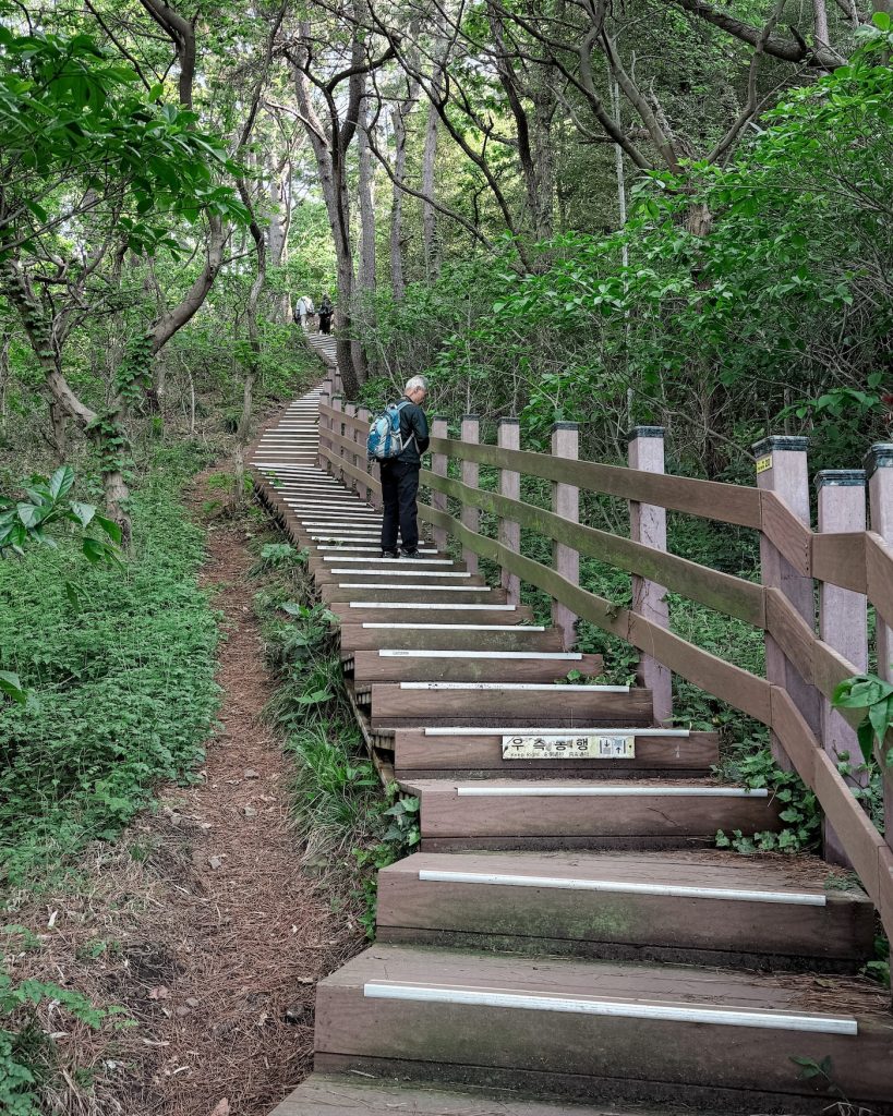 Long wooden staircase climbing through a forested section of the trail, surrounded by tall trees and dense greenery. An elderly local hiker pauses along the path beneath the shaded canopy.