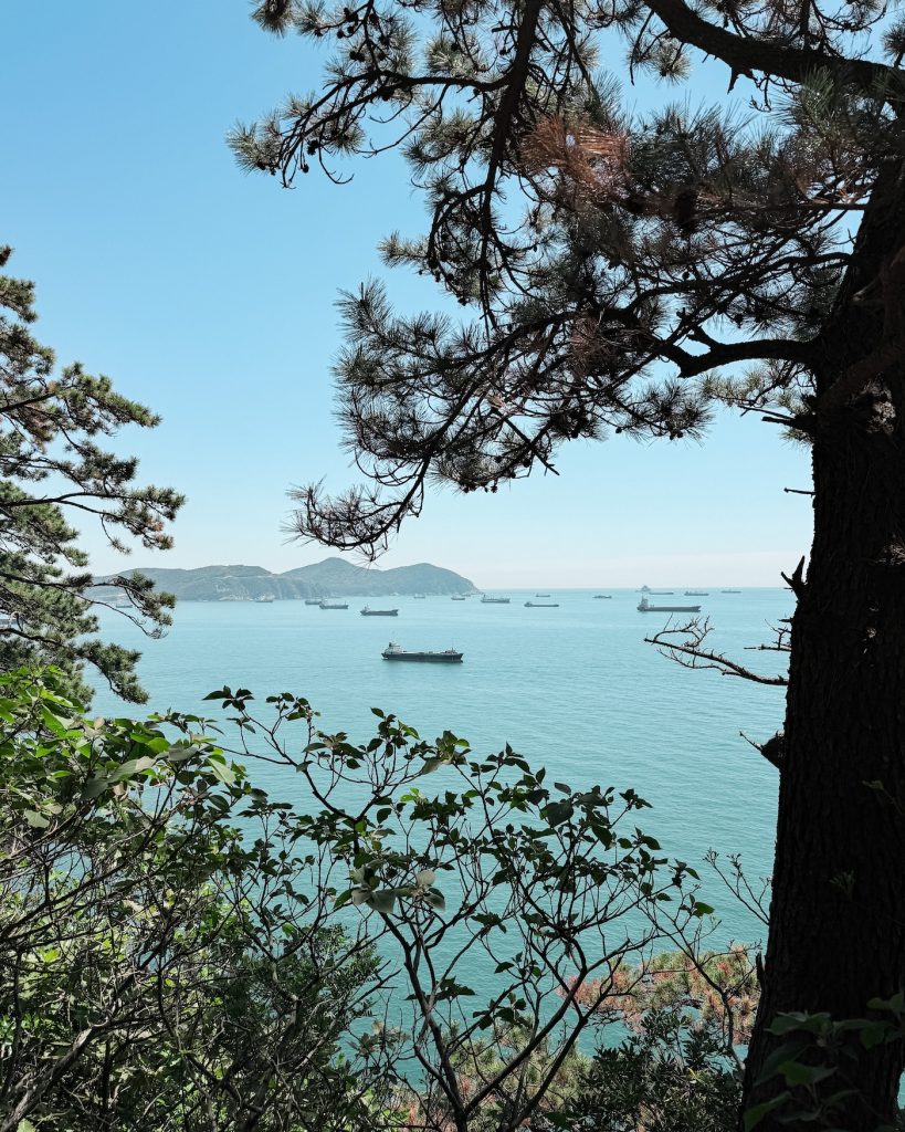 Calm blue sea dotted with anchored ships is framed by pine trees along a walking trail at Songdo Sky Park. The coastal paths offer quiet viewpoints away from the cable car crowds.