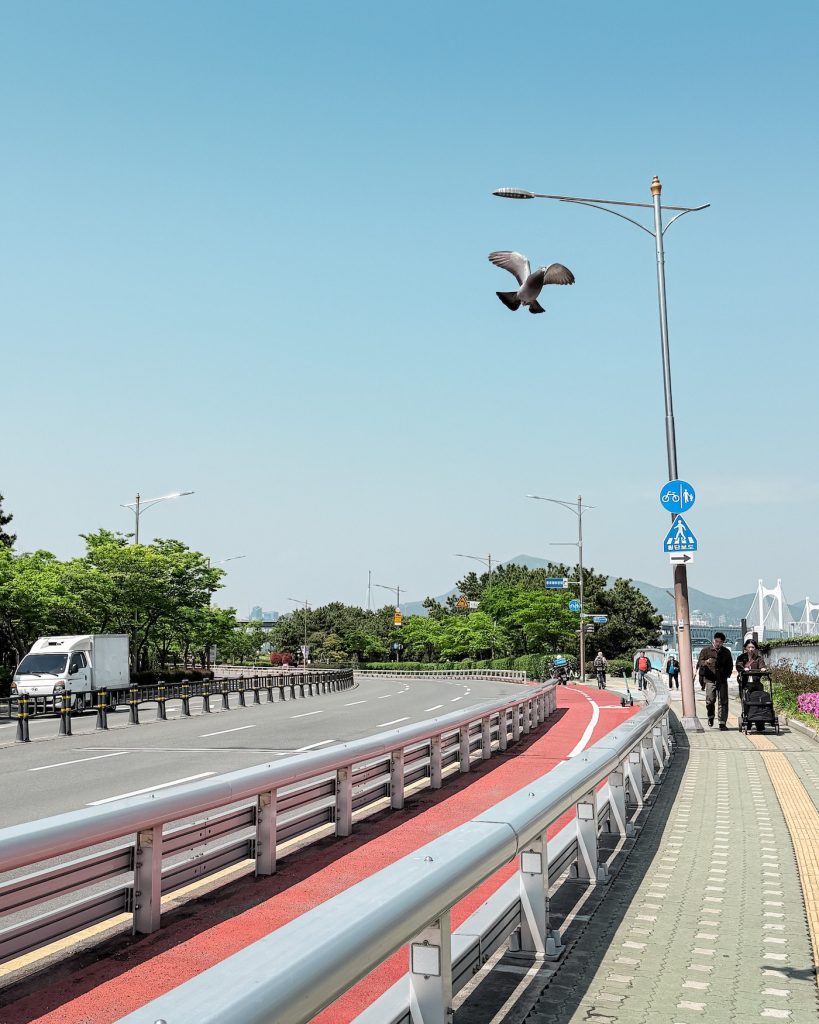 A pigeon flying above a road leading to the Igidae trailhead. Pedestrians walk along the path with Gwangan Bridge visible in the distance.