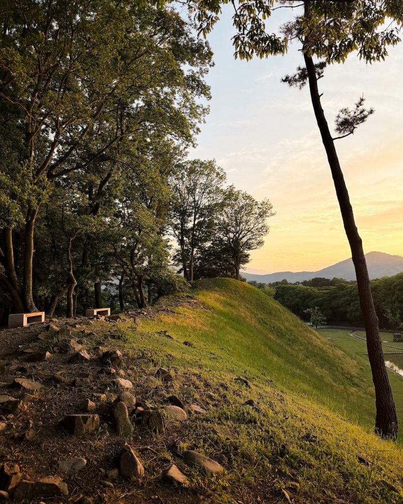 Warm evening sunlight filters through trees along the grassy earthworks of the Wolseong Fortress mounds as shadows stretch across the path. Golden hour is one of the most peaceful times to walk through the former Silla royal palace.