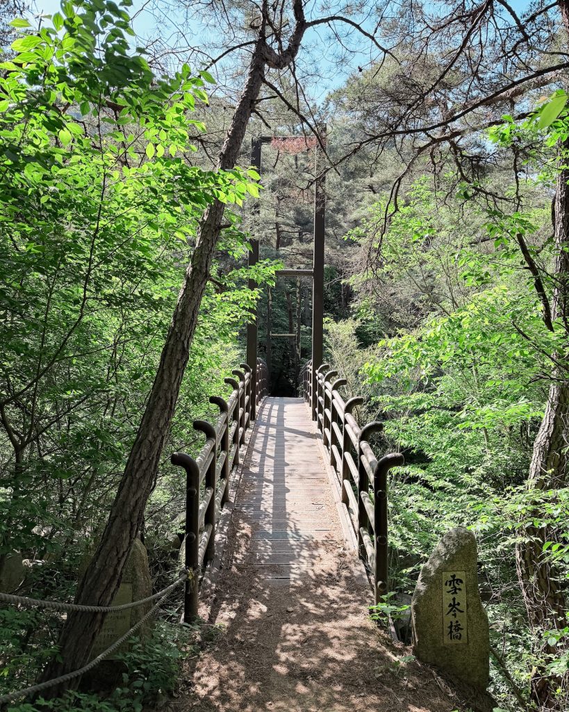 Narrow wooden suspension bridge crossing a forested ravine along the Mount Namsan hiking trail.