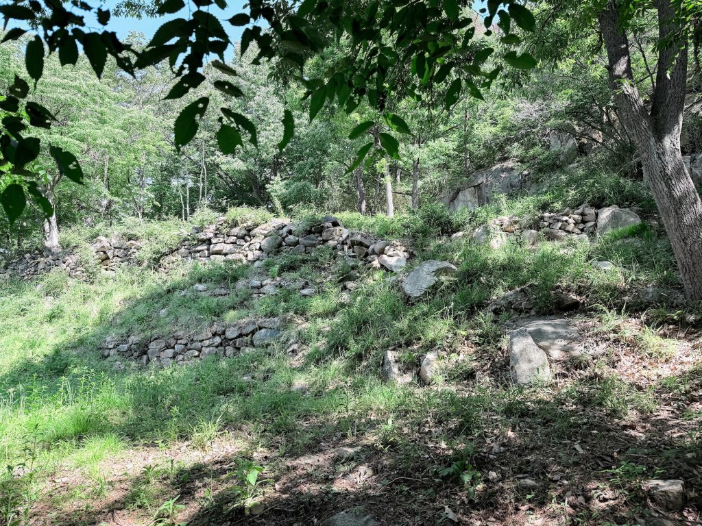 Low stone foundation walls marking the remains of the Yongjangsa Temple Site on Mount Namsan in Gyeongju, surrounded by forest and reclaimed by nature.
