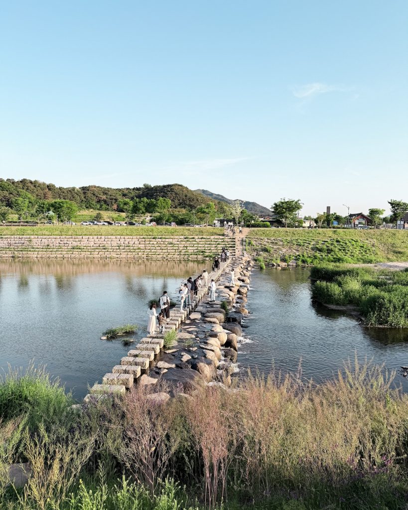 Stepping stones cross the shallow river, with people standing on each or passing each other. This viewpoint in the middle of the river is the best place to photograph Woljeonggyo Bridge in all its glory.